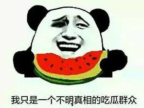 吃瓜群有没有,网络社交的趣味与争议